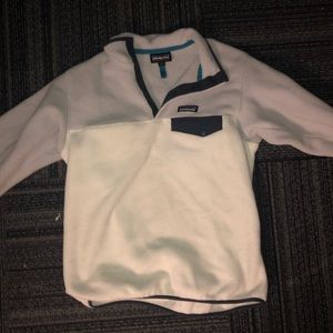 Patagonia Synchilla Pullover